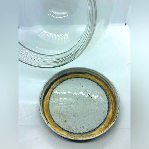 Vintage Bowl O Beauty Co Real Roses Glass Globe Dome Art Jar Fortune Teller DIY - Picture 3 of 5